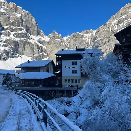 Апартаменты Steghorn 3