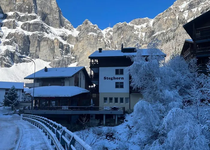 Appartamento Steghorn 3