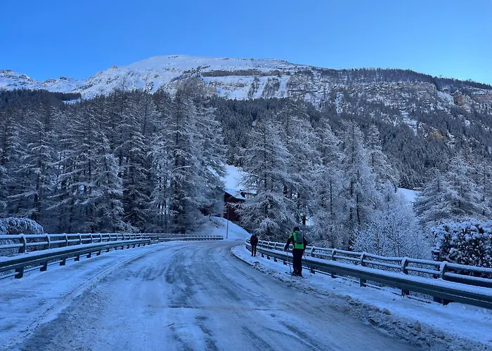 Steghorn 3 Appartamento *