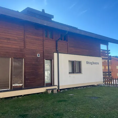 Appartement Steghorn 3 *
